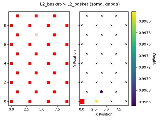 L2_basket-> L2_basket (soma, gabaa)