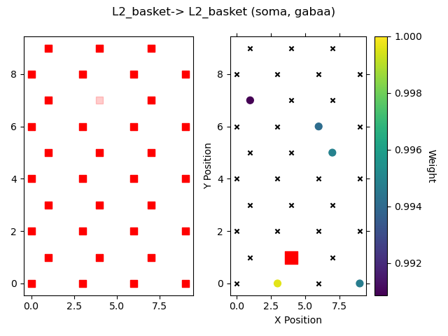 L2_basket-> L2_basket (soma, gabaa)