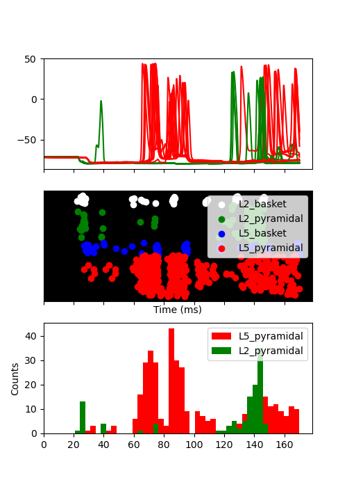 plot firing pattern