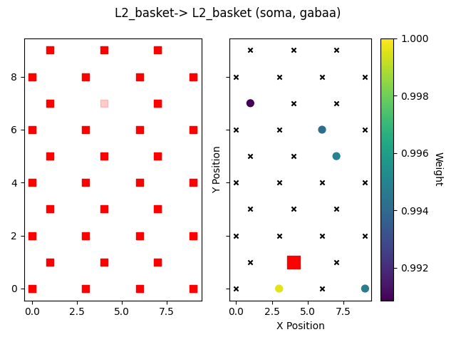 L2_basket-> L2_basket (soma, gabaa)